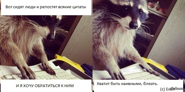 Простите, но меня это запарило Неужели они думают, что их ванильные цитаты были написаны именно теми людьми? Короче, енот-правдоруб дело говорит