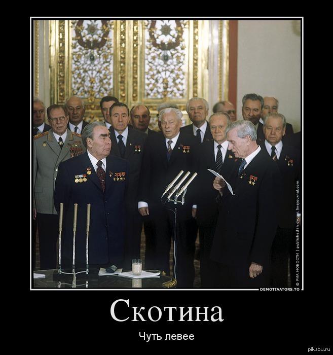 Скотина | Пикабу
