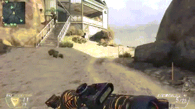    COD Black Ops 2 