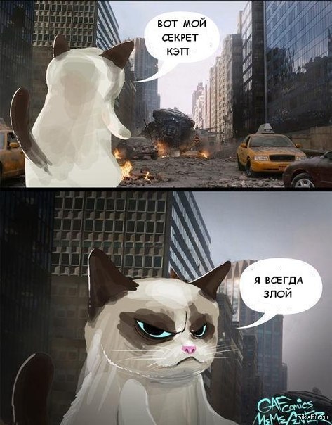 Секрет кота. Кот секрет. Тайны котов. Коты Мстители. Grumpy Cat в России комикс.