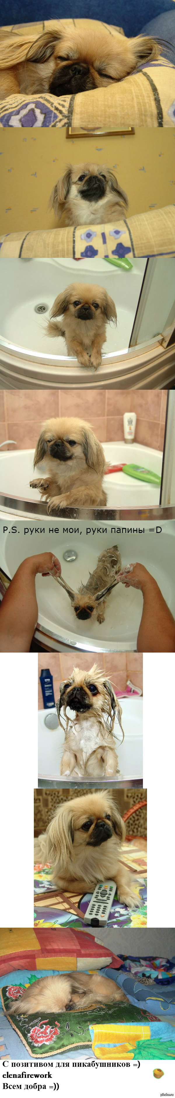   =)))) ,       =)       =)     =))     =)))