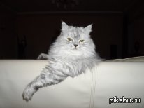 � ��� � ��� �����