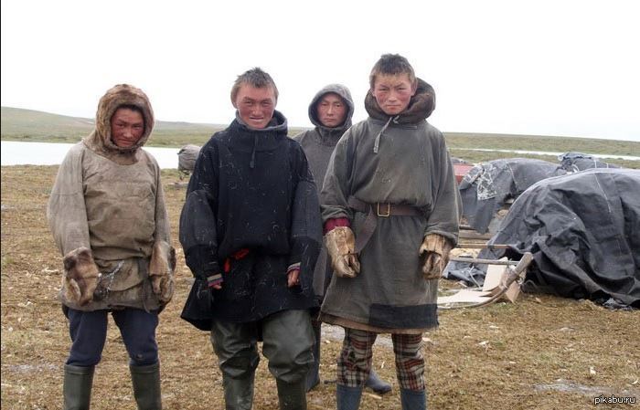 New collection by GUCCI