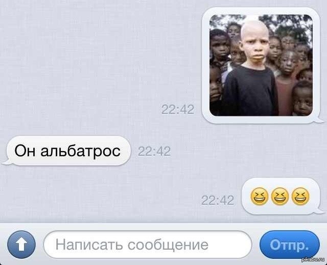 Альбатрос | Пикабу