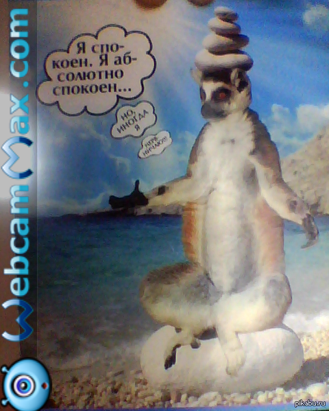 ������� ������� � �������, ��� �� ����, ��� ��� ����� �����������)