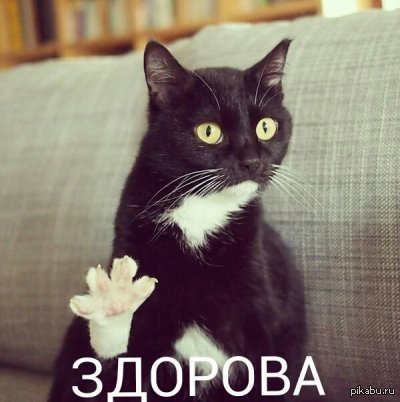 ������ ����� ����: �������� ��������� - �����!