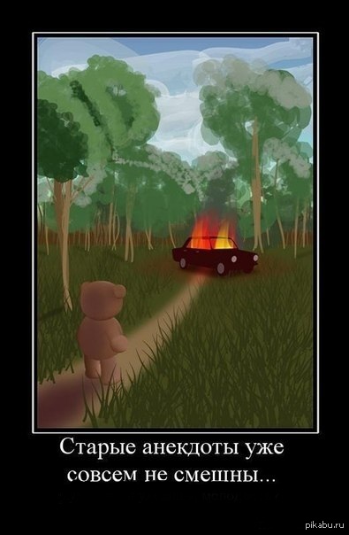 Медведь сгорел в машине