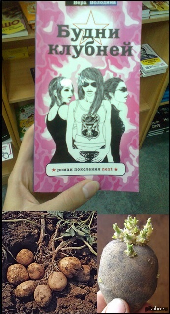 ����������� ����������. � ������� � ������������ ����������.