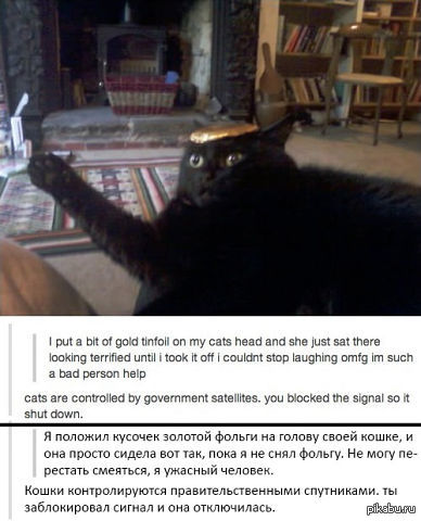 ����� �����)))