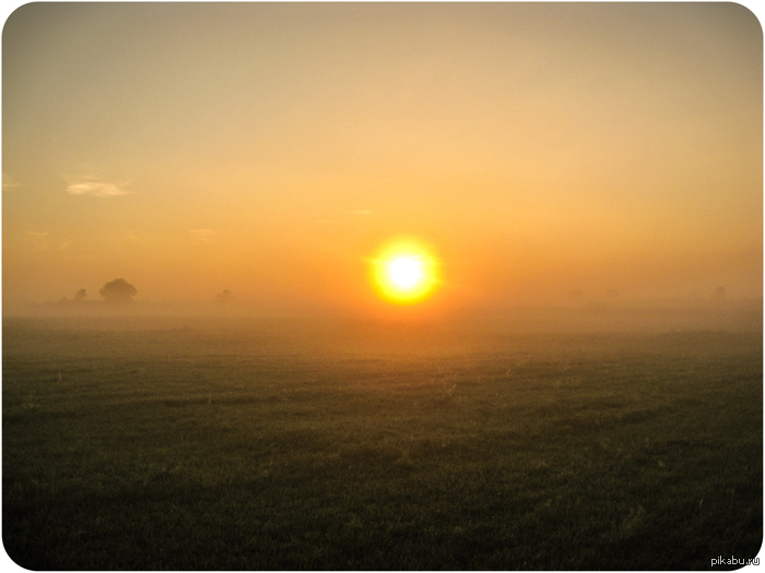 I'll keep my eyes fixed on the sun