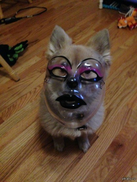 "�� ��*�� ����������-�� �����?" �