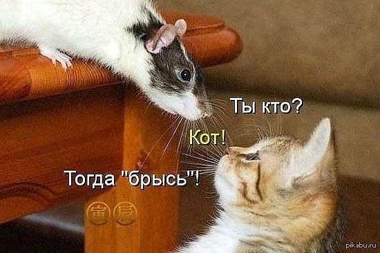 Бывает и так.