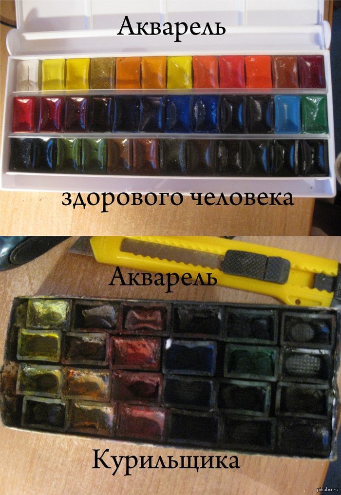 ����������.