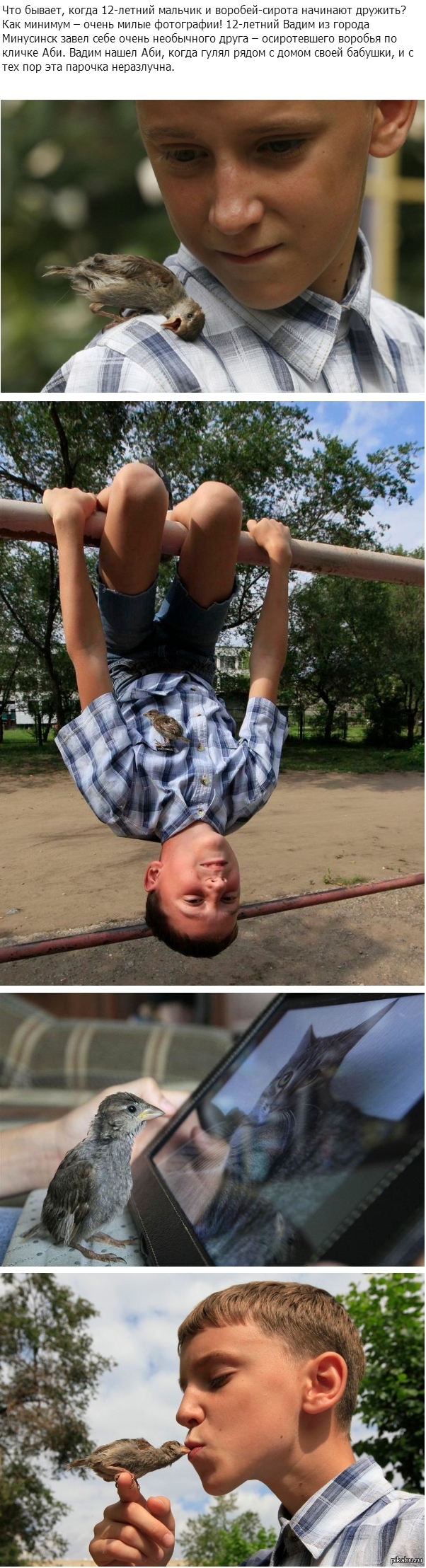 ������� � �������