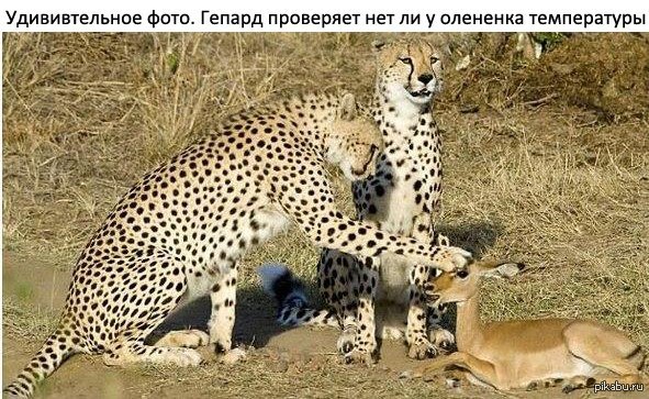 Удивительное фото | Пикабу