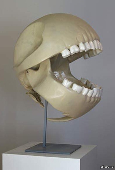 Пакмеееен скелет))