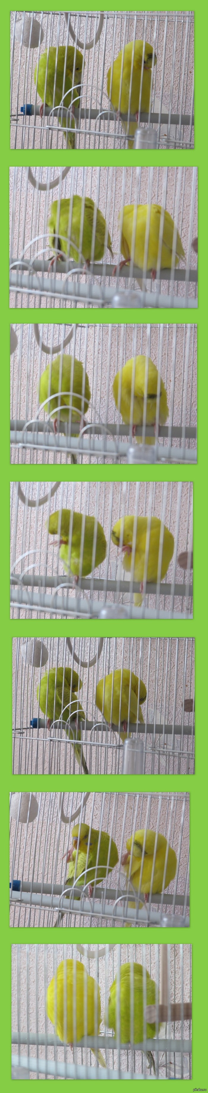 �������������