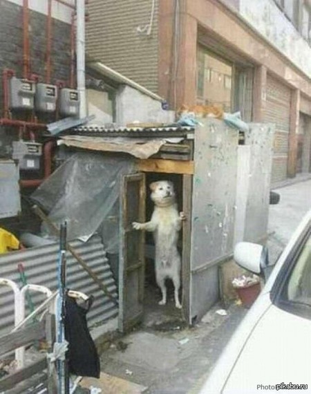 ��� ������? ����� ���� ���� ��������...