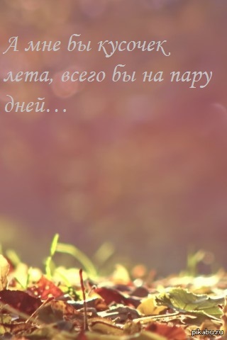 ���� ��...