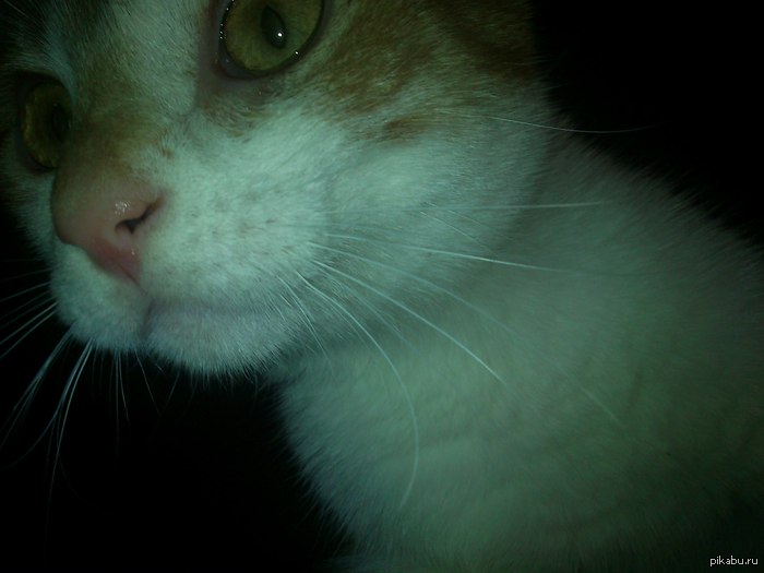 ���� ���!