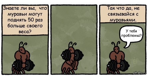 ����� � ���� �� �����������.