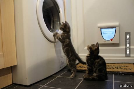 Братан, зацени! Это лучшее, что я видел в жизни!