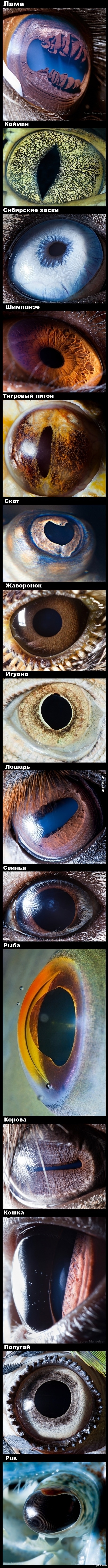      9gag