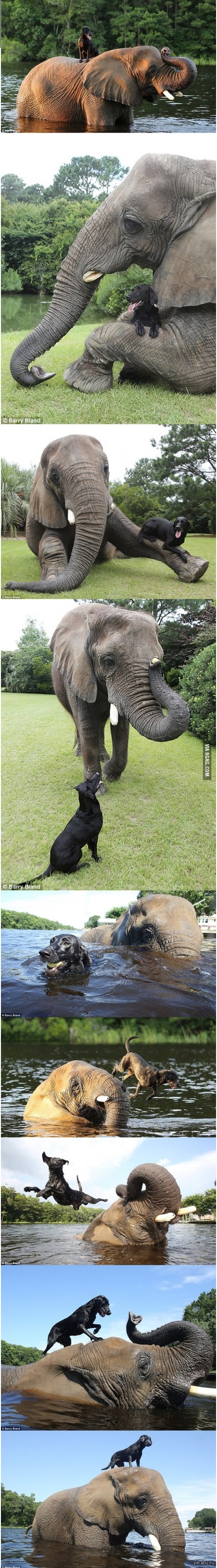 ������ ���� �� ������ ��������.