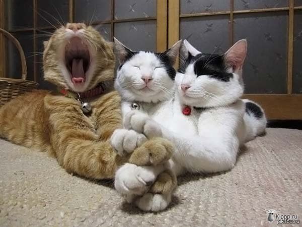 ��� �������� ��������� ^_^