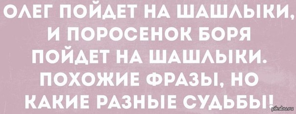 Про поросенка борю. Олег пойдет на шашлыки и поросенок Боря. Пойдет на шашлыки и поросенок пойдет. Отказной про поросенка Борю. А какие разные судьбы анекдот.