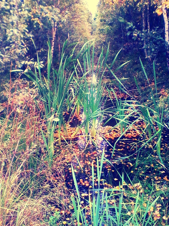 ��� ����� �������... �����...