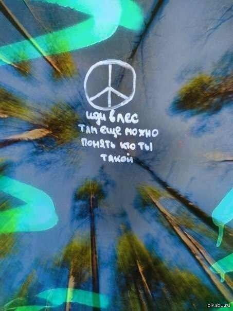 Вежливо послать на...