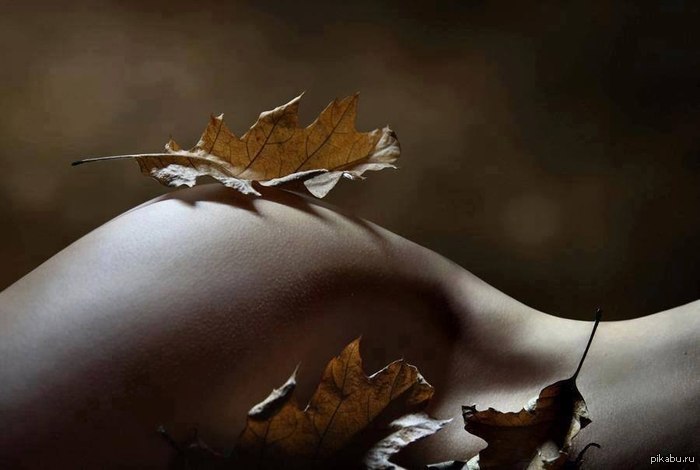 Autumn.... - NSFW, Booty, Autumn