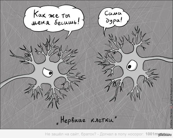 Нервы | Пикабу