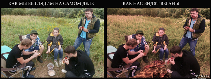 Мясоеды vs Веганы