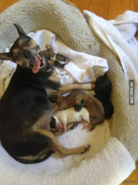 "��� ���...���"