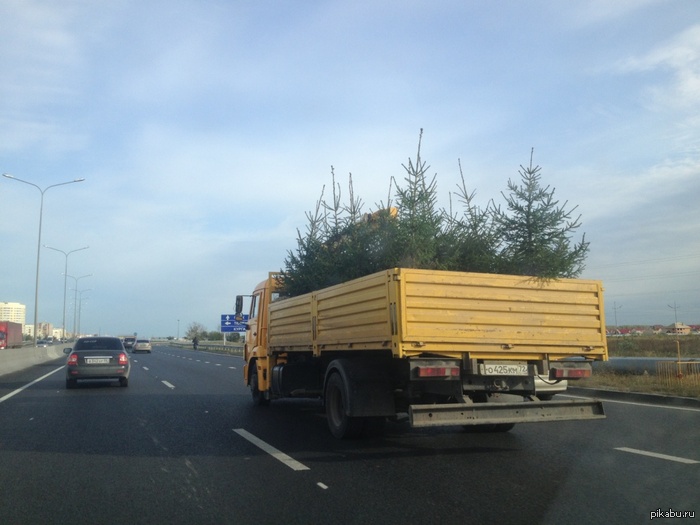 � ���-�� ���������?