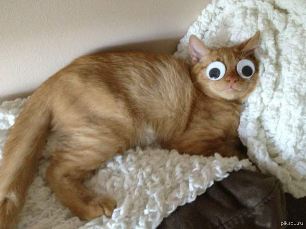 Когда приходишь домой с работы...