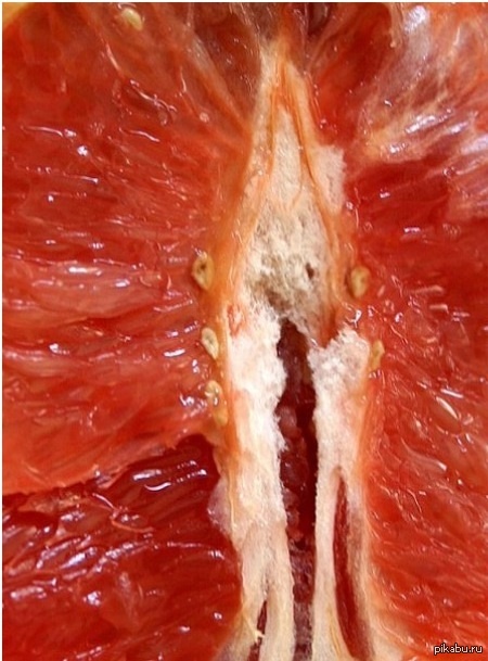 Персик форма женского органа. Фрукты половые. Фрукт похожий на женский половой орган. Мякоть грейпфрута. Грейпфрут в разрезе.
