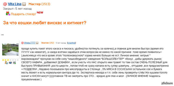 ������� ����