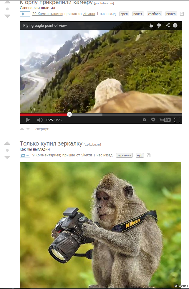 �������