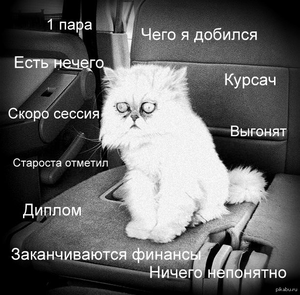          <a href="http://pikabu.ru/story/studentam_posvyashchaetsya_1563947">http://pikabu.ru/story/_1563947</a>