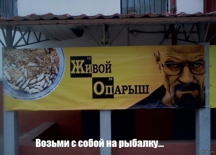 ������ � ������