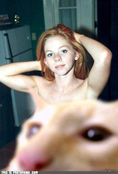 Котик такой котик