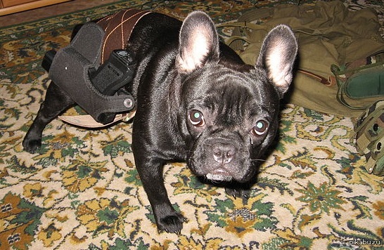 ��� ��� ������������.