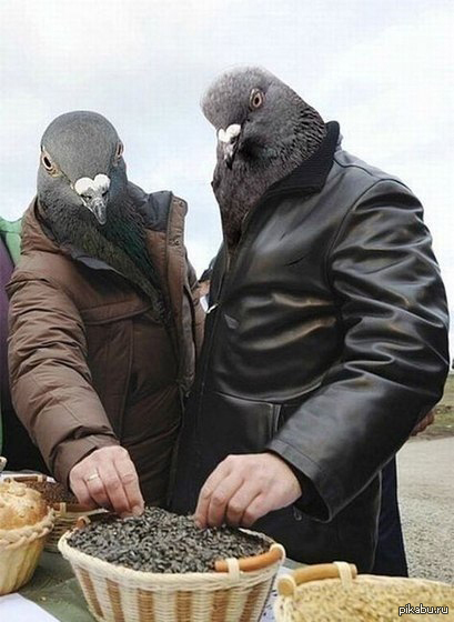 А семечки будешь?:D