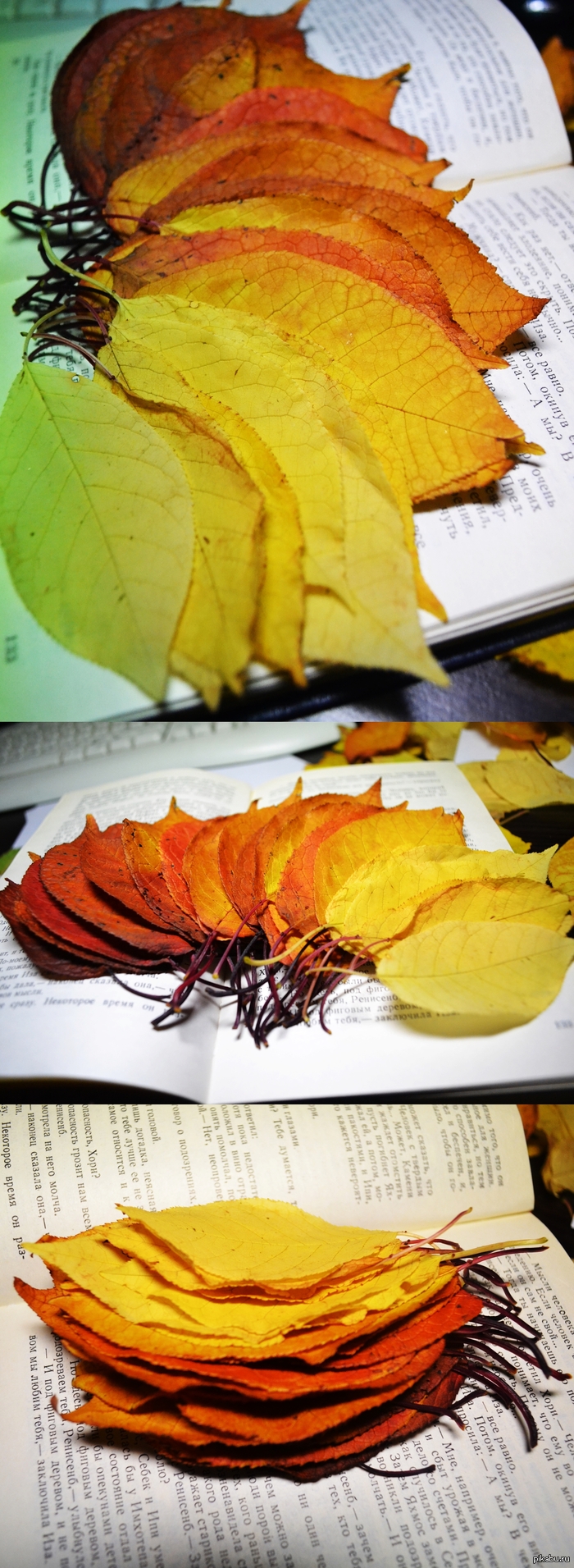 �����, ����� ����� :)