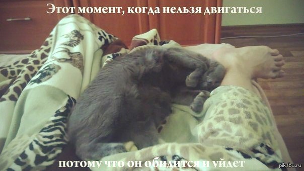 Да, этот момент)