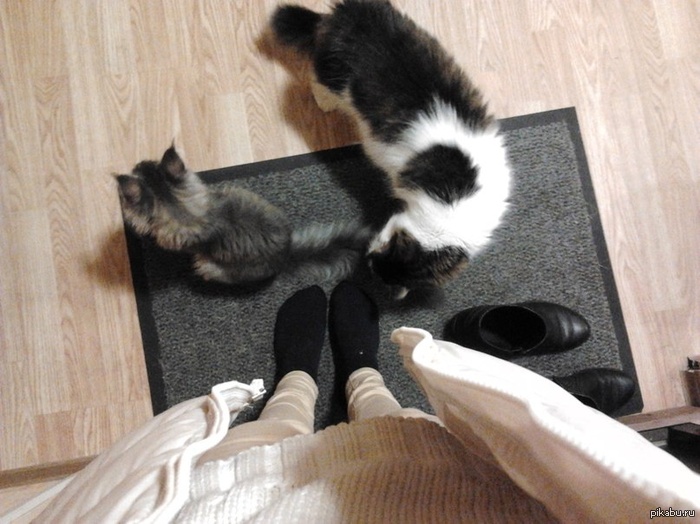 Возвращаешься с работы, а тебя дома ждут...