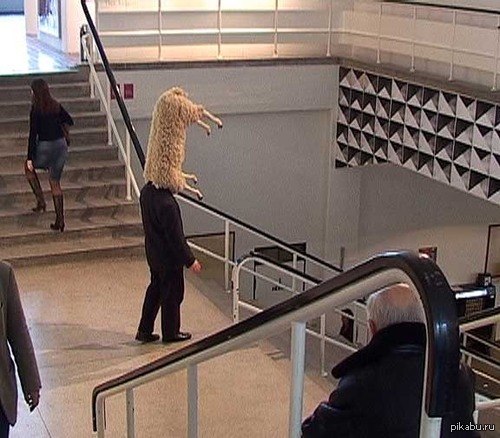 ��� ��� � ���� ����������� ���������  ���������.